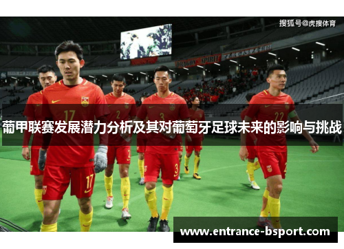 葡甲联赛发展潜力分析及其对葡萄牙足球未来的影响与挑战